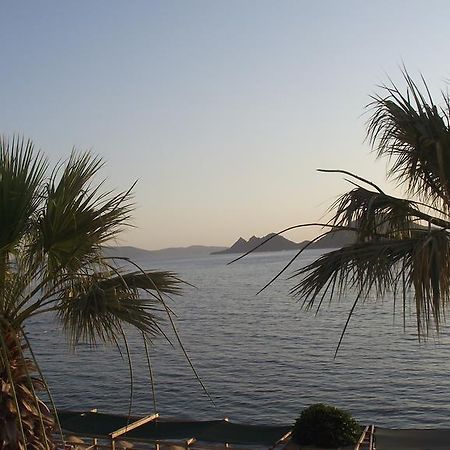Ado Beach Hotel Turgutreis Exterior photo
